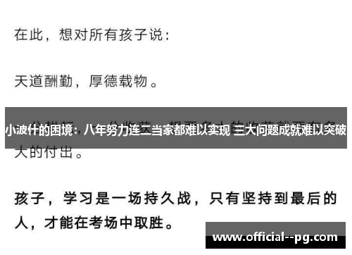 小波什的困境：八年努力连二当家都难以实现 三大问题成就难以突破