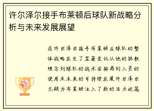 许尔泽尔接手布莱顿后球队新战略分析与未来发展展望